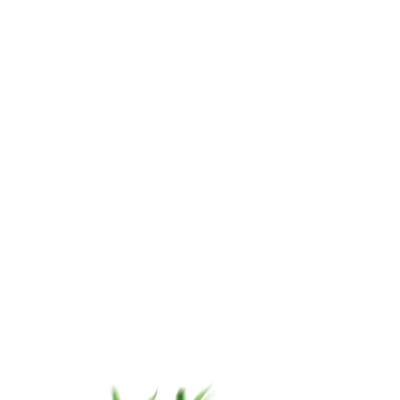 Animation de Array